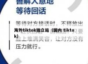 海外tiktok独立站（国内 tiktok）