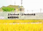 上facebook（上facebook会被网警抓吗）