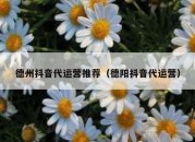 德州抖音代运营推荐（德阳抖音代运营）