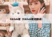 tiktok歌（tiktok歌词翻译）