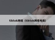 tiktok跨境（tiktok跨境电商）