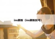 ins刷粉（ins刷粉封号）