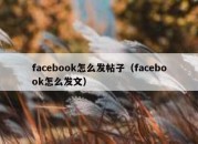 facebook怎么发帖子（facebook怎么发文）