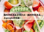 国内手机怎么上tiktok（国内手机怎么上google浏览器）