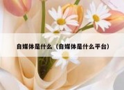 自媒体是什么（自媒体是什么平台）