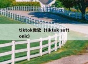 tiktok微软（tiktok softonic）