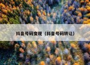 抖音号码变现（抖音号码转让）