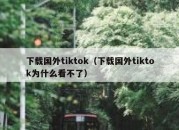 下载国外tiktok（下载国外tiktok为什么看不了）