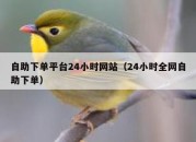 自助下单平台24小时网站（24小时全网自助下单）