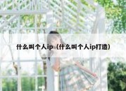 什么叫个人ip（什么叫个人ip打造）