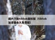 国内下载tiktok国际版（tiktok加速器永久免费版）