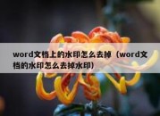 word文档上的水印怎么去掉（word文档的水印怎么去掉水印）