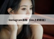 Instagram清粉（ins上的粉丝）