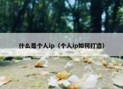 什么是个人ip（个人ip如何打造）