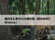 国内怎么看tiktok国际版（国内如何打开tiktok）