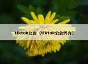 tiktok公会（tiktok公会代办）