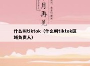 什么叫tiktok（什么叫tiktok区域负责人）