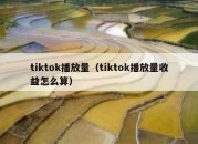 tiktok播放量（tiktok播放量收益怎么算）