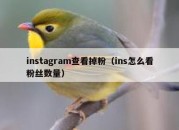 instagram查看掉粉（ins怎么看粉丝数量）