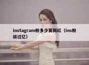 instagram粉多少算网红（ins粉丝过亿）