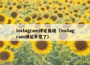 instagram评论自动（instagram评论不见了）