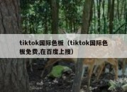 tiktok国际色板（tiktok国际色板免费,在百度上搜）