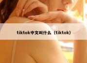 tiktok中文叫什么（tiktok）