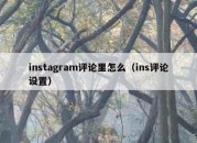 instagram评论里怎么（ins评论设置）