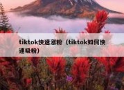 tiktok快速涨粉（tiktok如何快速吸粉）