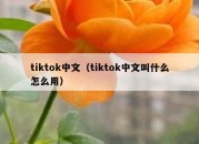 tiktok中文（tiktok中文叫什么怎么用）