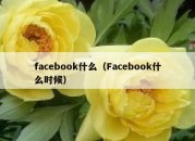 facebook什么（Facebook什么时候）