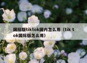 国际版tiktok国内怎么用（tik tok国际版怎么用）