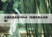 在国内怎么玩tiktok（在国内怎么玩欧服）