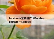 facebook营销推广（Facebook营销推广1000字）