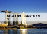 tiktok千粉号（tiktok千粉号批发）