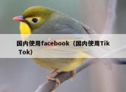 国内使用facebook（国内使用Tik Tok）