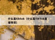 什么是tiktok（什么是TikTok直播带货）