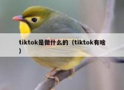 tiktok是做什么的（tiktok有啥）