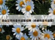 白山公司抖音代运营招聘（赤峰抖音代运营）