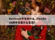 facebook中文叫什么（facebook的中文是什么意思）