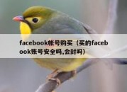 facebook帐号购买（买的facebook账号安全吗,会封吗）