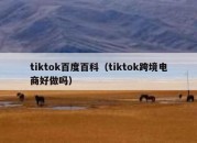 tiktok百度百科（tiktok跨境电商好做吗）