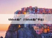 tiktok推广（Tiktok推广平台）