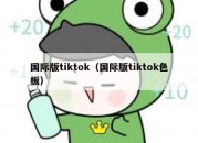 国际版tiktok（国际版tiktok色板）