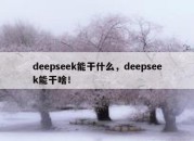 deepseek能干什么，deepseek能干啥！