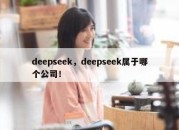 deepseek，deepseek属于哪个公司！