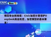 模型安全新维度：Ciuic加密计算保护DeepSeek商业机密，加密模型的基本要素！