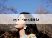 AIGT，AigTag是什么！