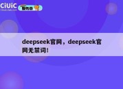 deepseek官网，deepseek官网无禁词！