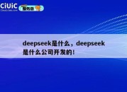 deepseek是什么，deepseek是什么公司开发的！